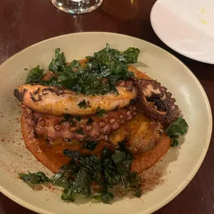 타파코파 대표 사진