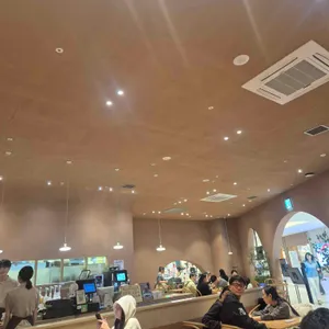 로로아눅 대표 사진