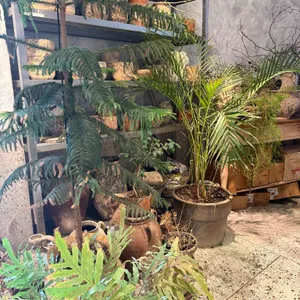 부강탕베이커리앤카페 대표 사진