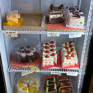 투데이지 리뷰 사진