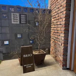 브리오 대표 사진