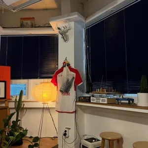 주든 대표 사진