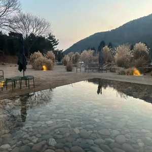 수수밀소 사진 2