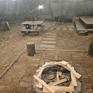 단풍나무 대표 사진