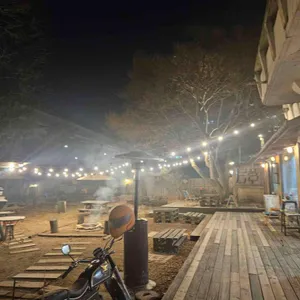 단풍나무 리뷰 사진