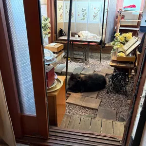 여기인가 대표 사진