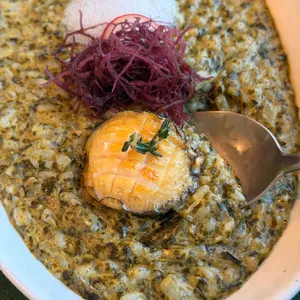 노바운더리 대표 사진