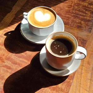 아티스트웨이 사진 1