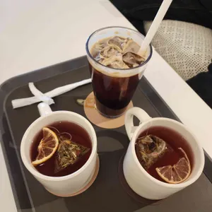 르노트르 사진 2