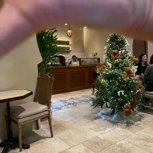 두둘 대표 사진