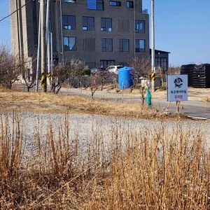 속초해녀마을 바람꽃해녀마을 리뷰 사진