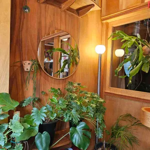 비스킷플로어 리뷰 사진