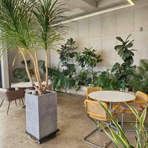 카페 뮈렌 대표 사진