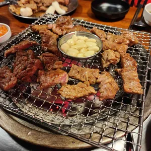 서울갈매기 사진 1