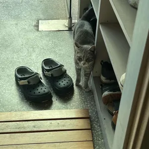 한나네 대표 사진