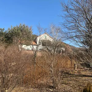 그린홀리데이 리뷰 사진