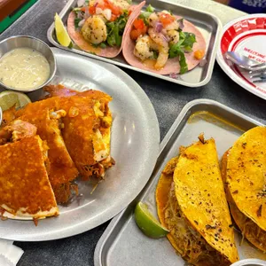 더 타코부스 사진