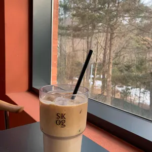 스코그 리뷰 사진