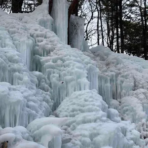 달리온 대표 사진