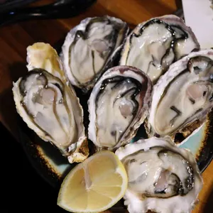 시라가 리뷰 사진