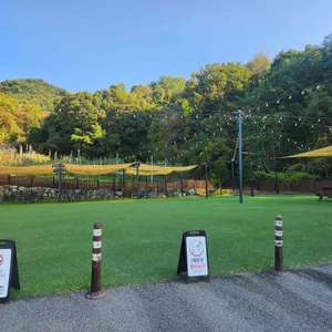 허니포레스트 리뷰 사진