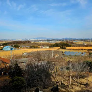 이화림 대표 사진