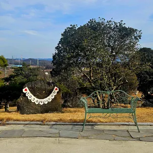 이화림 리뷰 사진