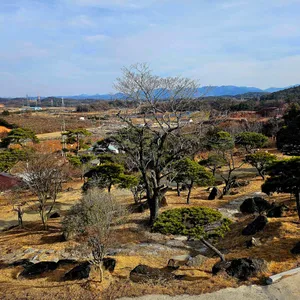 이화림 리뷰 사진