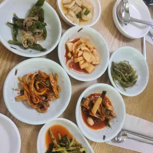 예당느티나무 사진