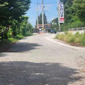 예당느티나무 리뷰 사진