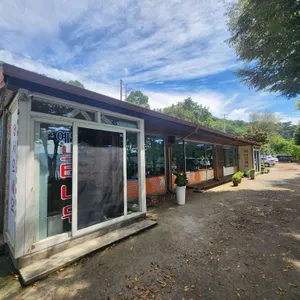 예당느티나무 대표 사진