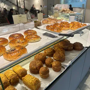 마고노더니스 대표 사진