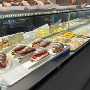 마고노더니스 대표 사진