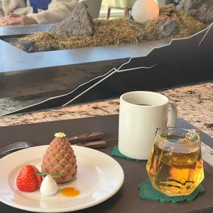 소노펠리체 델피노 더엠브로시아 대표 사진