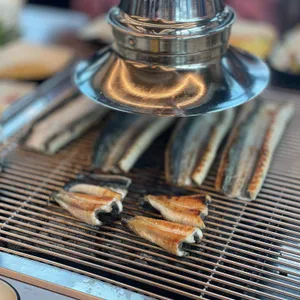 대부장어 사진 1