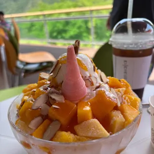 prairie 대표 사진