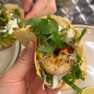 무차초스타코 대표 사진