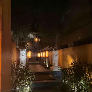 따시지아 대표 사진