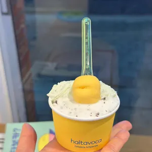 할타보카 대표 사진