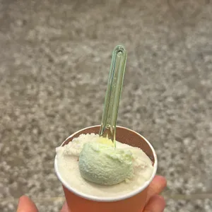 할타보카 대표 사진