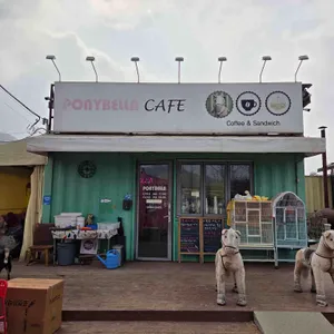 포니벨라 사진 1