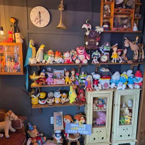 포니벨라 대표 사진