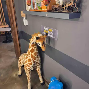 포니벨라 리뷰 사진