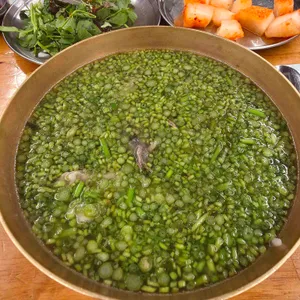 능동미나리 사진