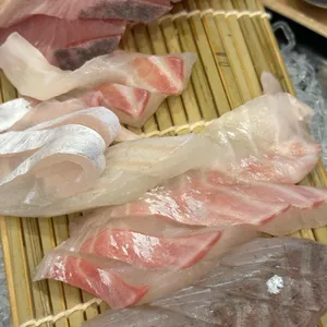 오늘바다 사진 1