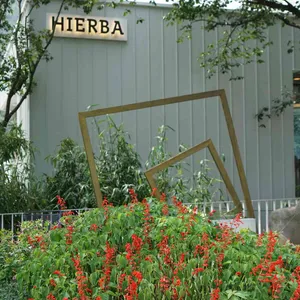 이에르바 대표 사진