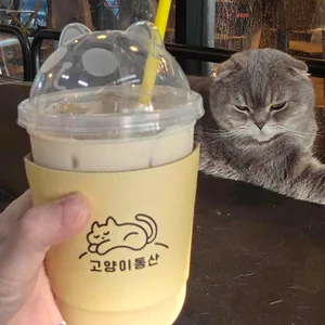 고양이동산 사진 1