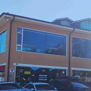 도그캠프 리뷰 사진