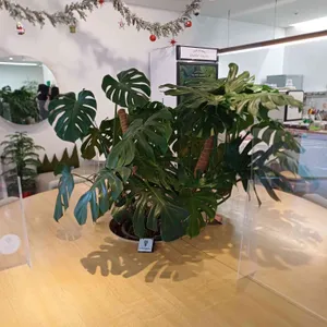 데일리 오아시스 대표 사진