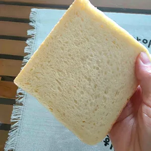 화이트리에 사진